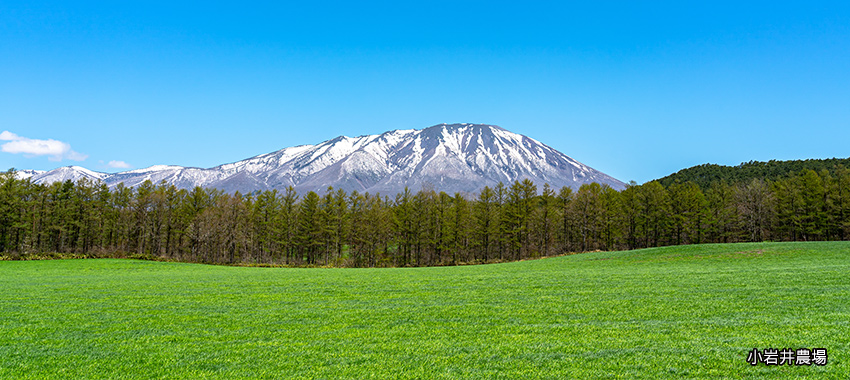 小岩井農場